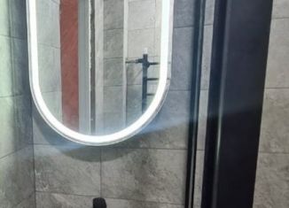 Сдаю в аренду однокомнатную квартиру, 30 м2, Великий Новгород, Кооперативная улица, 2/31