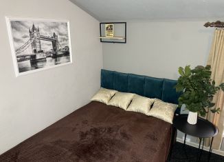 Сдам 1-комнатную квартиру, 20 м2, Долгопрудный, улица Лизы Чайкиной, 16