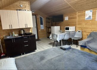 Сдается в аренду дом, 24 м2, село Архыз, улица Курджиева, 35А