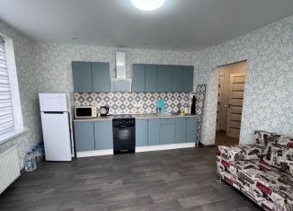 Сдаю в аренду 2-комнатную квартиру, 56 м2, Тюмень, улица Монтажников, 57, ЖК Видный