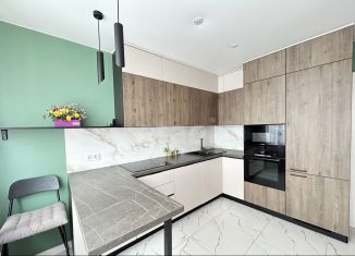 Продажа 2-ком. квартиры, 44 м2, Мурино, ЖК Авиатор, Ручьёвский проспект, 4/26