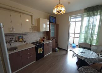 Сдается в аренду 1-комнатная квартира, 39 м2, Санкт-Петербург, улица Лётчика Лихолетова, 14к3, Красносельский район