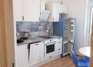 Аренда 1-комнатной квартиры, 33 м2, Мурино, улица Шувалова, 19к2, ЖК Краски Лета