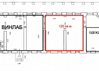 Сдача в аренду помещения свободного назначения, 120 м2, Кронштадт, проспект Ленина, 16
