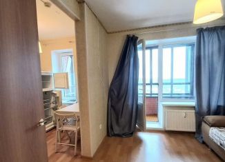 Сдаю в аренду квартиру студию, 25 м2, посёлок Парголово, улица Валерия Гаврилина, 13к1