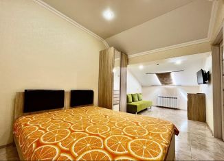 Сдается 1-комнатная квартира, 54 м2, Геленджик, Туристическая улица, ЖК Дом у моря