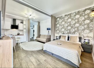 Сдаю квартиру студию, 44 м2, Оренбург, улица Красная Площадь, 2А