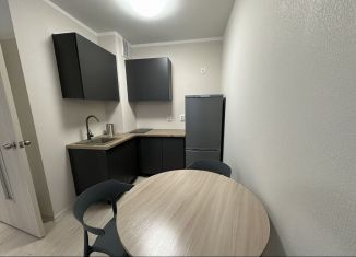 Сдаю двухкомнатную квартиру, 35 м2, Екатеринбург, Латвийская улица, 58/4, ЖК Хрустальные Ключи