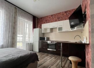 Сдам в аренду квартиру студию, 25.7 м2, Петергоф, Парковая улица, 20к3с1