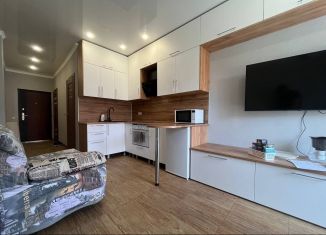 Сдам квартиру студию, 25 м2, Геленджик, улица Гоголя, 11А