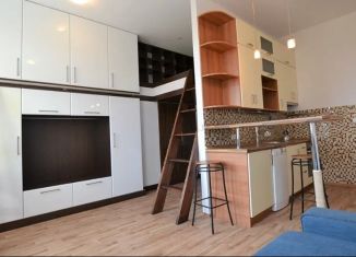 Продам квартиру студию, 22 м2, Санкт-Петербург, улица Марата, 65/20, муниципальный округ Владимирский