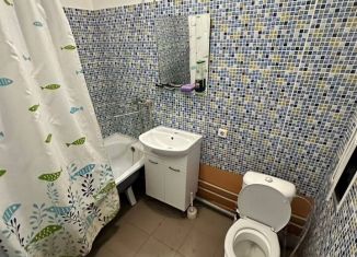 Сдается 1-комнатная квартира, 38 м2, Краснодар, Черкасская улица, 141, микрорайон Восточно-Кругликовский
