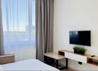 Сдаю в аренду квартиру студию, 36 м2, Екатеринбург, улица Фрунзе, 31