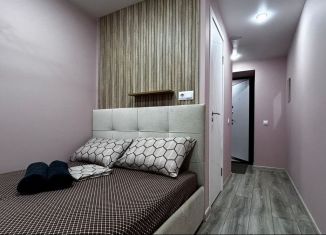 Сдача в аренду квартиры студии, 15 м2, Новосибирск, улица Дуси Ковальчук, 266/4, Заельцовский район