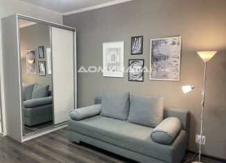 Сдаю в аренду квартиру студию, 24 м2, Санкт-Петербург, 1-й Предпортовый проезд, 14, муниципальный округ Новоизмайловское