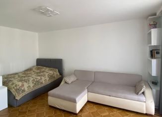 Продается 1-ком. квартира, 27 м2, Сочи, улица Фрунзе, 16, микрорайон Голубые Дали