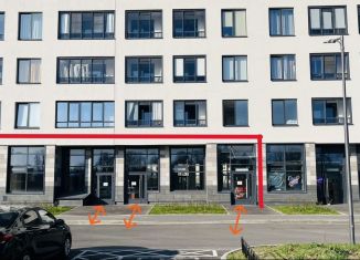 Продажа помещения свободного назначения, 270 м2, Санкт-Петербург, проспект Ветеранов, 214, Красносельский район