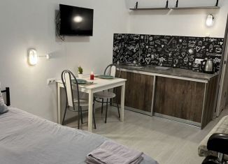 Квартира в аренду студия, 25 м2, Нижний Новгород, Московское шоссе, 83