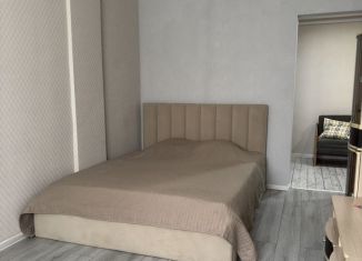 Сдается однокомнатная квартира, 36 м2, Геленджик, Дивноморская улица