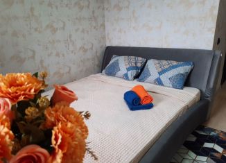 Сдам в аренду квартиру студию, 17 м2, Тюмень, Интернациональная улица, Калининский округ