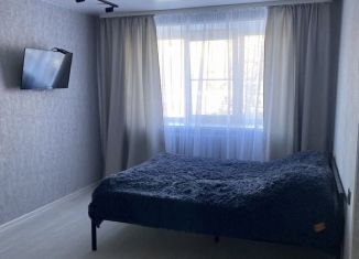 Сдаю в аренду 1-ком. квартиру, 32 м2, Мурманск, улица Полярные Зори, 21к2