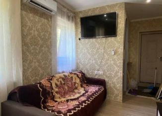 Сдается в аренду однокомнатная квартира, 40 м2, Сочи, СТ Дружба, 85А