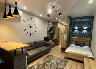 Сдаю квартиру студию, 30 м2, Краснодар, улица им. Героя Сарабеева В.И., 5к5, микрорайон Панорама