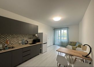 Сдача в аренду 1-комнатной квартиры, 40 м2, Санкт-Петербург, проспект Будённого, 23к4, Красносельский район