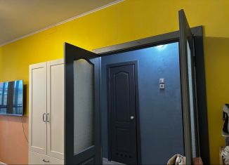 Продаю 1-комнатную квартиру, 36 м2, Томск, улица Андрея Крячкова, 19