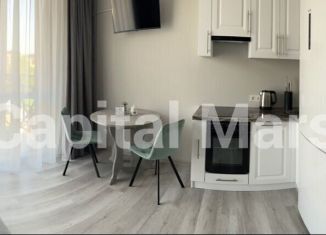 Сдается в аренду 1-комнатная квартира, 33 м2, Сочи, улица Тимирязева, 34/2, микрорайон Донская