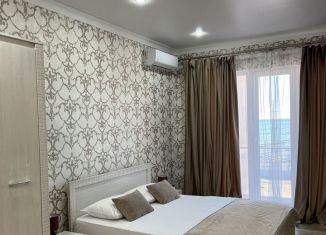 Сдается в аренду 1-комнатная квартира, 25 м2, Сочи, улица Просвещения, 173Г, микрорайон Чкаловский