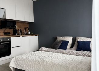 Сдается в аренду квартира студия, 25.5 м2, деревня Новое Девяткино, Главная улица, 12, ЖК Заречный Парк