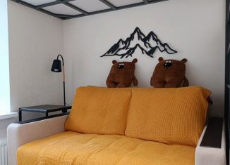 Сдаю в аренду квартиру студию, 14 м2, Санкт-Петербург, улица Лабутина, 3, метро Балтийская