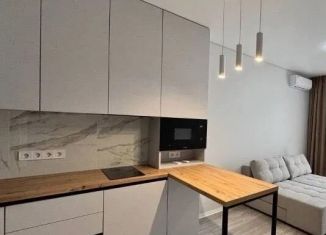 Аренда квартиры студии, 28.9 м2, Краснодар, улица Евгении Жигуленко, 3к1, ЖК Территория счастья