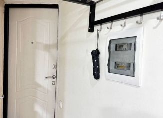 Сдаю квартиру студию, 19 м2, Санкт-Петербург, 9-я Красноармейская улица, 21, метро Балтийская