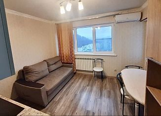 Сдам в аренду 1-комнатную квартиру, 51 м2, село Раздольное, Тепличная улица, 75