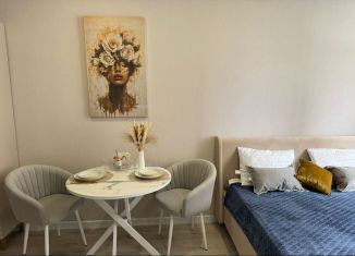 Сдаю квартиру студию, 27 м2, Краснодар, улица Григория Булгакова, 7к1, Прикубанский округ