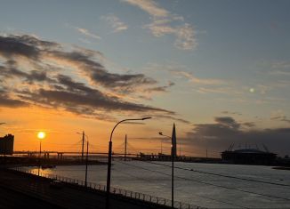 Квартира в аренду студия, 25 м2, Санкт-Петербург, набережная Макарова, 58с2, метро Приморская