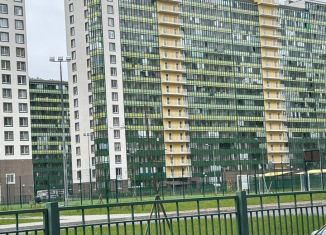 Аренда квартиры студии, 25 м2, Мурино, Воронцовский бульвар