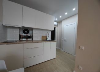 Сдам 1-комнатную квартиру, 30 м2, Ростов-на-Дону, бульвар Комарова, 30/2с1, ЖК Аврора