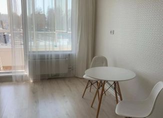 Продаю квартиру студию, 25 м2, Новосибирск, Республиканская улица, 17, Дзержинский район
