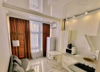 Продажа квартиры студии, 14.6 м2, Москва, Автозаводская улица, 19к1, метро Технопарк