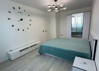 Сдается в аренду однокомнатная квартира, 45 м2, Краснодар, микрорайон Черемушки, Обрывная улица, 132/1к2
