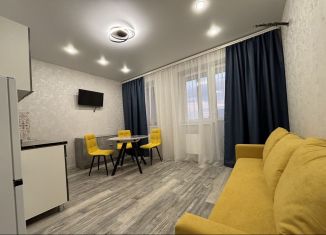 Аренда квартиры студии, 25 м2, Краснодар, Колхозная улица, 5/2к2, микрорайон Табачная Фабрика