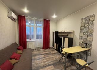 Сдаю квартиру студию, 30 м2, Краснодар, улица им. Героя Сарабеева В.И., 5к5, микрорайон Панорама