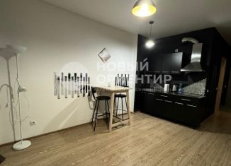 Сдается однокомнатная квартира, 28.2 м2, Екатеринбург, микрорайон Светлый, 3, Чкаловский район