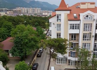 Сдается в аренду 1-ком. квартира, 36 м2, Геленджик, Туристическая улица, 3Д