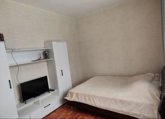 1-ком. квартира в аренду, 37 м2, Лукоянов, микрорайон Юго-Западный, 13