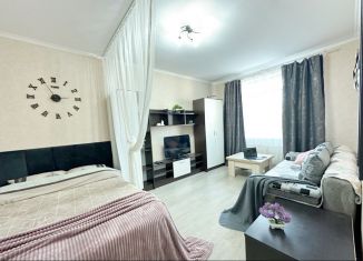 Сдается 1-комнатная квартира, 32 м2, Мурино, Воронцовский бульвар, 14к3, ЖК Краски Лета