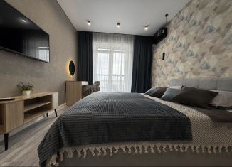 1-ком. квартира в аренду, 45 м2, Новосибирск, Светлановская улица, 52/1, Заельцовский район